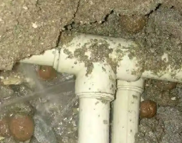 黄陂测漏水多少钱