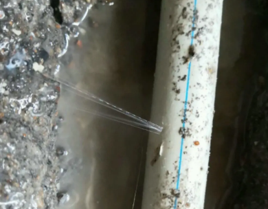 黄陂测漏水哪家好