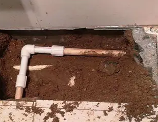 黄陂测漏水哪家好