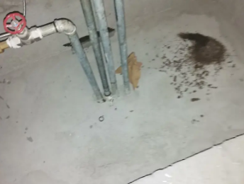 黄陂卫生间测漏水价格明细