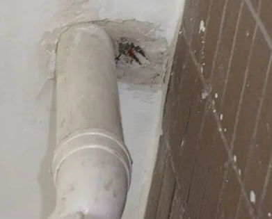 黄陂漏水检测哪家好